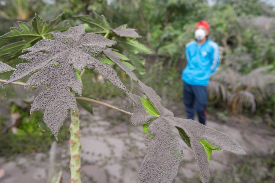 Indonesia raises alert to highest level 4 on Bali volcano